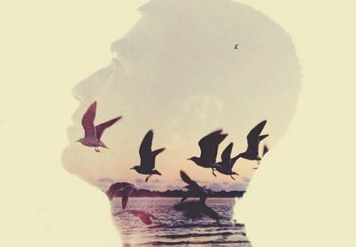 Et hoved med falmede fugle og et hav