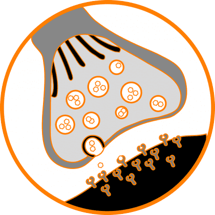 illustration af synapse