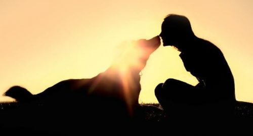 Kvinde med hund ved solnedgang