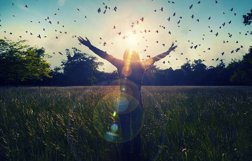 Kvinde på en mark med sommefugle