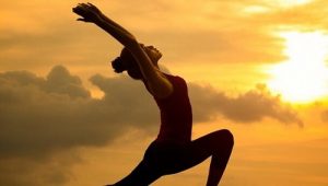 Seitai: Kulturen om harmoni og sundhed