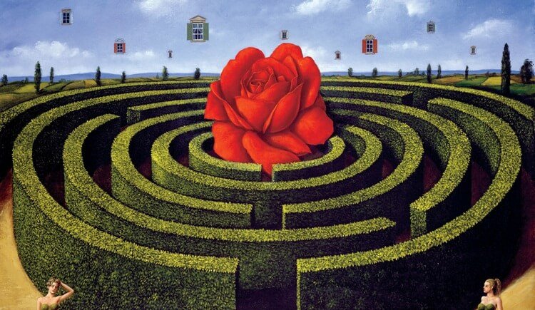 Labyrint med kæmpe rose i midten