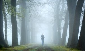 Skovtesten og dens plads i psykoanalyse