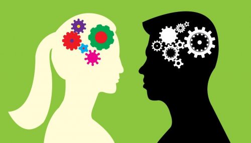 Er der forskel på hjernen hos mænd og kvinder?