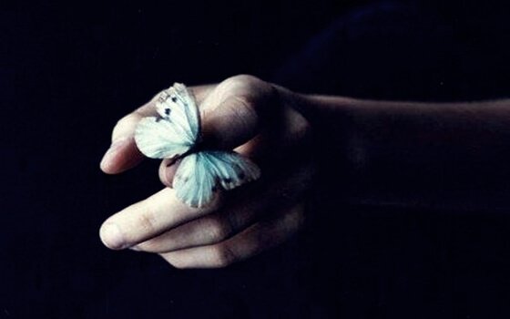 Sommerfugl på hånd