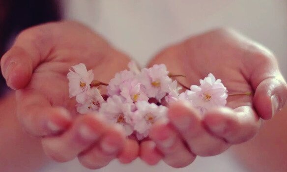 Hænder med blomster