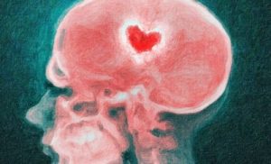 Din hjerne under et brud: Videnskaben om et knust hjerte