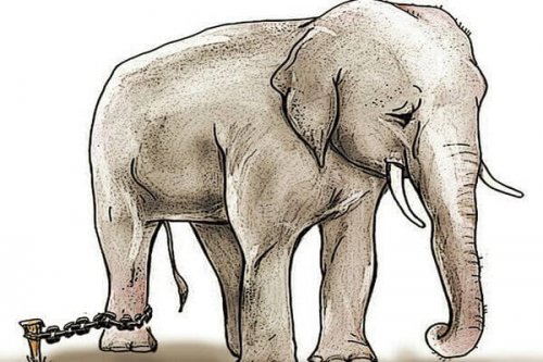 Den lænkede elefant