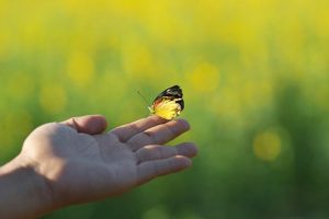 Lær at afslutte cyklusser på den rigtige måde