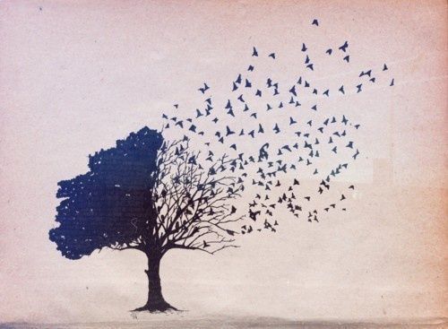 træ bliver til fugle