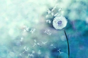 Når tilfældigheder giver mening, er du på rette vej