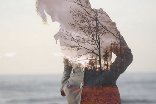 Silhuet af kvinde med træ 