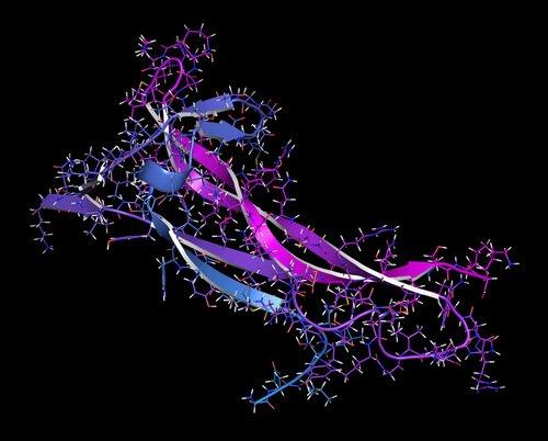 Når du øger niveauet af BDNF, giver det en række kognitive fordele