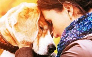 Derfor kommer vi til at elske dyr så meget