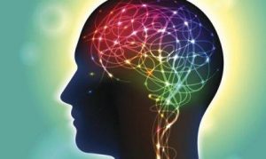 Anandamid: En neurotransmitter, der påvirker glæde