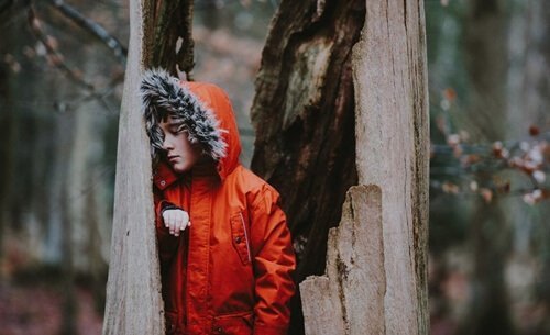En dreng i udhulet træ i skov