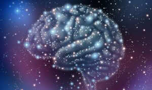 Neurotransmittere: Typer og funktioner
