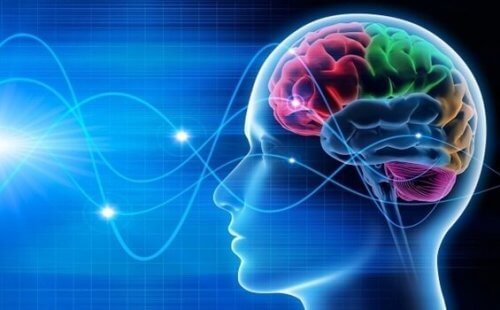 Hjernen viser samme aktivitet i REM fasen, som var vi vågne