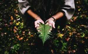 Det kræver ro og fred at finde mening i livet