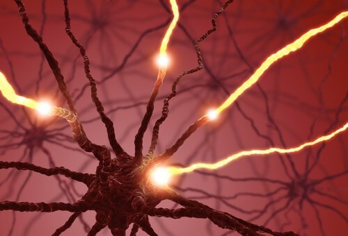Lys i neuroner illustrerer neurogenetik