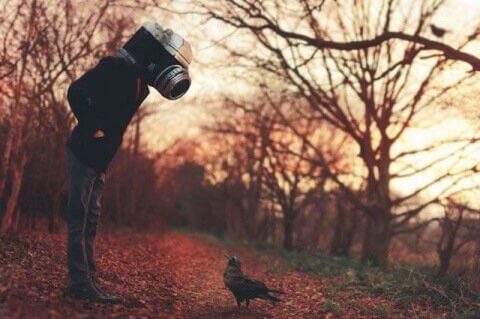 Mand med kamera som hoved kigger på fugl