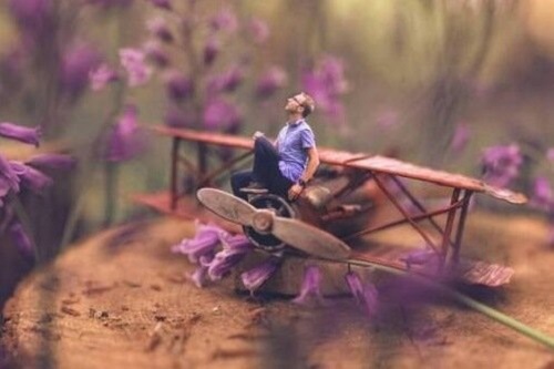 Mand på et lille fly