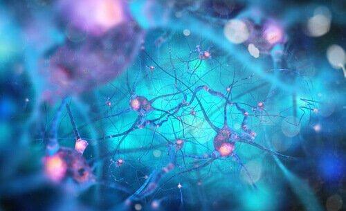 Neuroner og neurotransmittere illustreret med blå farver