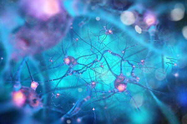 neuroner og synapser illustreret med blå farver