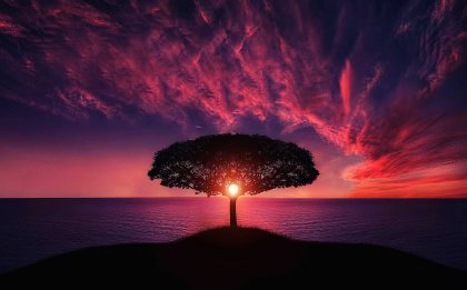 Et træ på en ø ved solnedgang - et symbol på at finde formål i livet