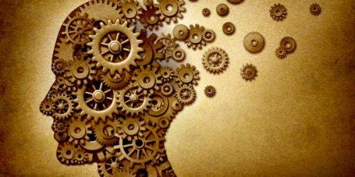 Tandhjul danner hoved