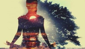 Wu Wei: Kunsten af ikke at handle