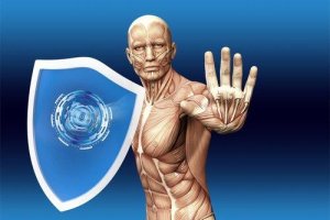 Hvordan virker det menneskelige immunsystem?