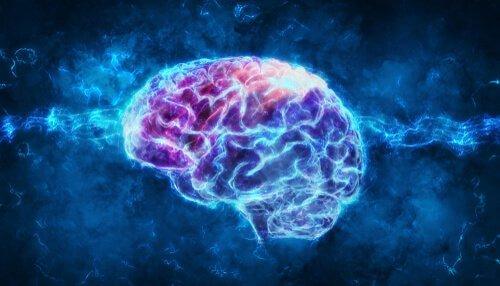 Psykofysiologi: Hvad er det egentlig?