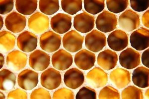 Trypofobi: Symptomer, årsager og behandling