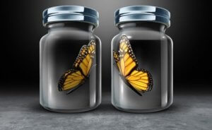 Asymmetrisk forhold, en forhindring i mange forhold