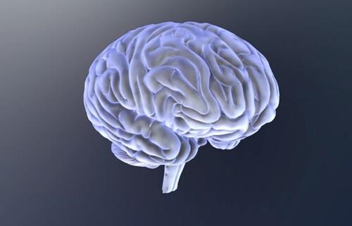 En svævende hjerne