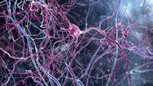 Psykologisk behandling af autisme