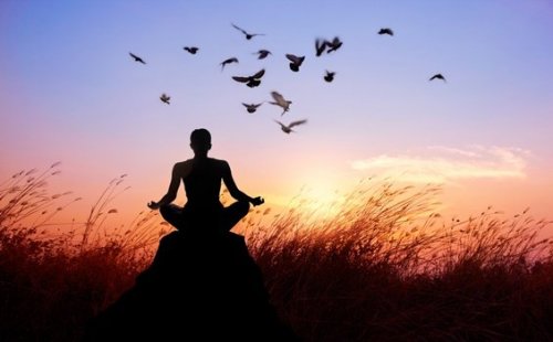 Person mediterer på mark med fugle flyvende omkring