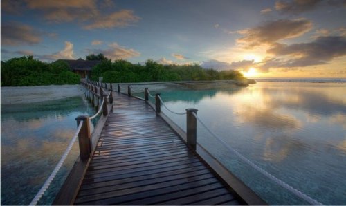 Kryds broen for at lære at være tålmodig