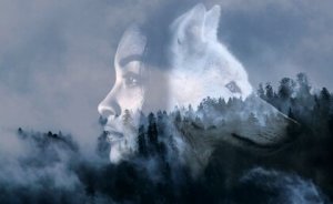 Dristighed: Har du modet til at tage chancer?