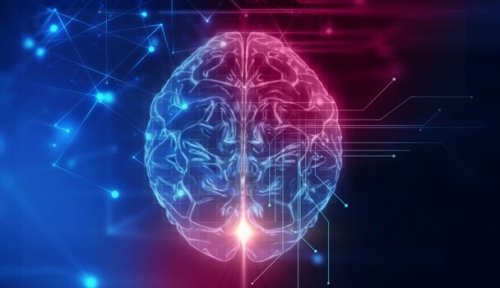 Den insulære lap oplyst i hjerne