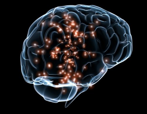 Neuroner lyser op i hjerne