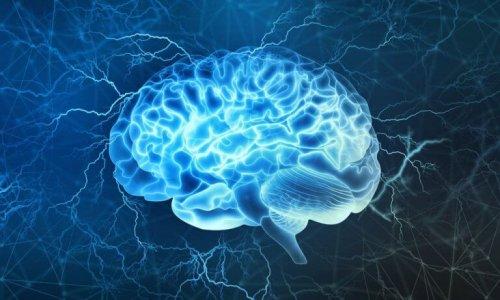 Det præfrontale cortex: En af de mest interessante dele af hjernen