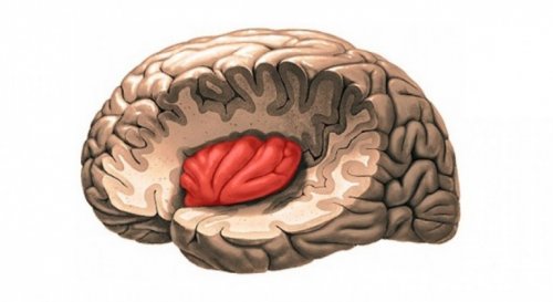 figur af hjernen