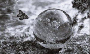 Følelsesmæssig skrøbelighed: Forstå og styrk dit ego