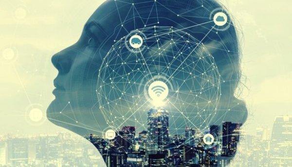 Netværk i kvindes hoved illustrerer, at det præfrontale cortex har forbindelser til flere andre hjerneregioner