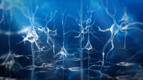 Neuroner er illustreret i blå farver
