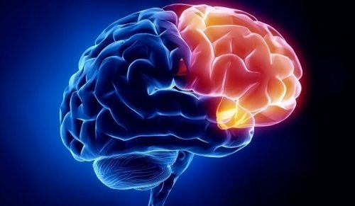 Det orbitofrontale cortex oplyst i hjerne som en del af illustrering af sammenhængen mellem astma og sindet