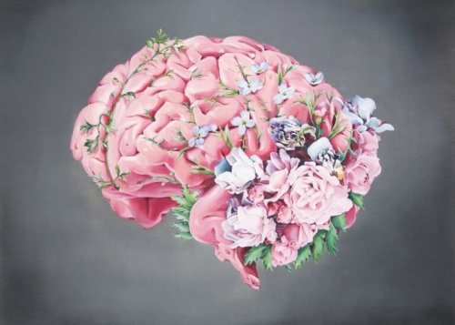 en rosa hjerne