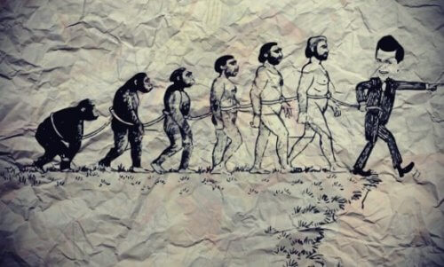 tegning af evolutionen af mennesket